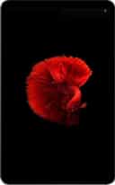 Alldocube İPlay 50 Mini