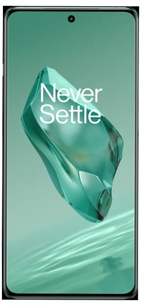 OnePlus 12 (12 GB / 256 GB)