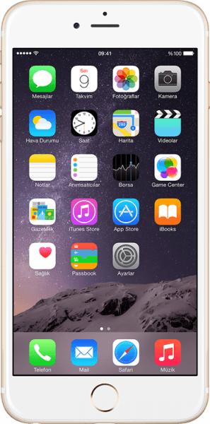Apple iPhone 6 (128 GB)